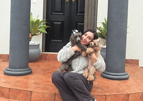 Breeder sitting on step with poodle puppies.