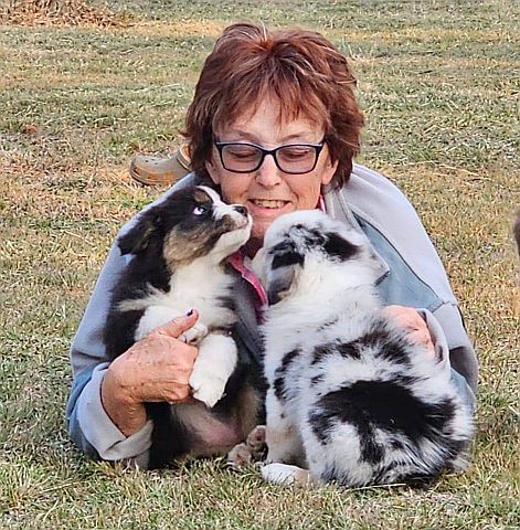 dog breeder playing with puppies.